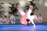 2015/150208_Budo-Gala_KCW/150208_03_judo_kc_wiesbaden_056.jpg