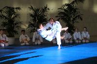2015/150208_Budo-Gala_KCW/150208_03_judo_kc_wiesbaden_065.jpg