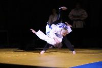 Budo-Gala 2017 Judo